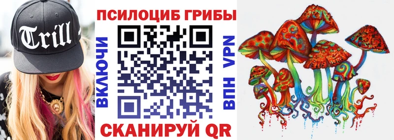 мега ссылка  Бугульма  Псилоцибиновые грибы Psilocybine cubensis  как найти закладки 